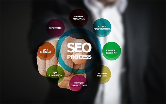 seo expert in india